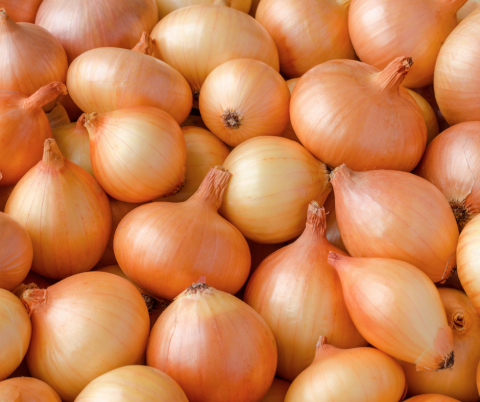 Uien